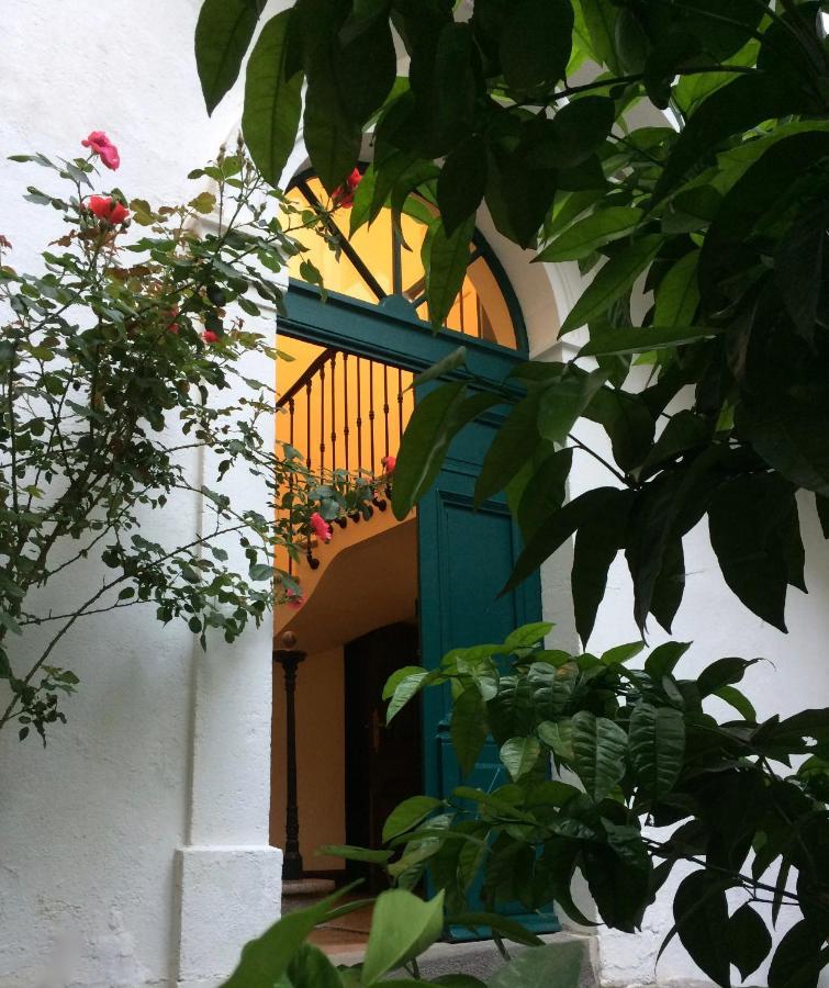 Villa Rosa בזייה מראה חיצוני תמונה