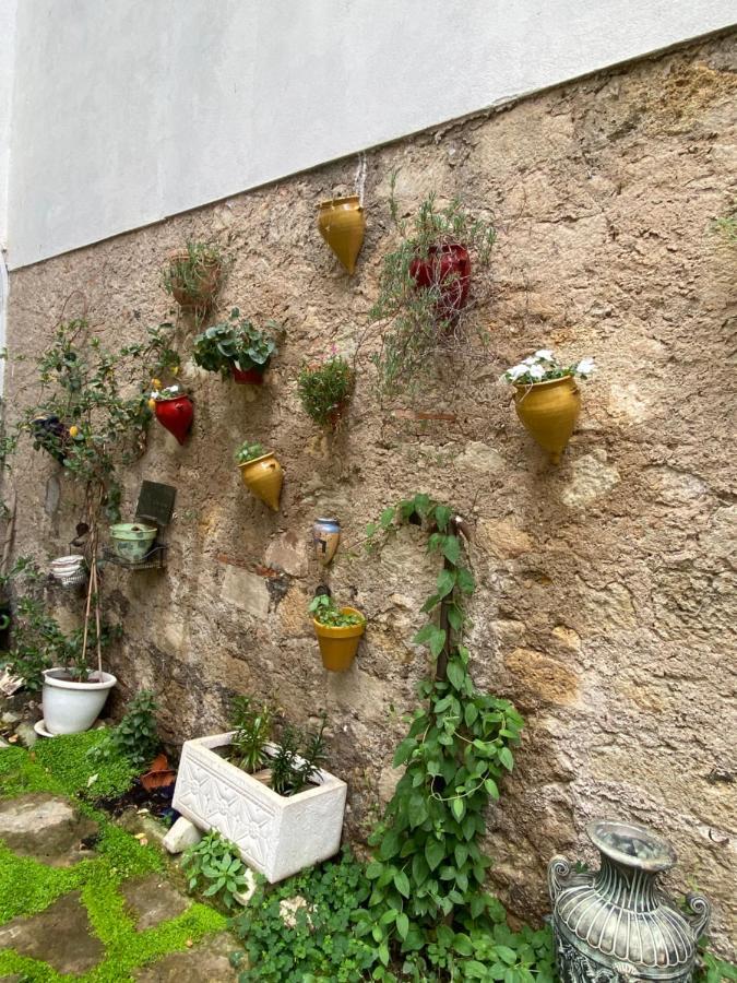 Villa Rosa בזייה מראה חיצוני תמונה