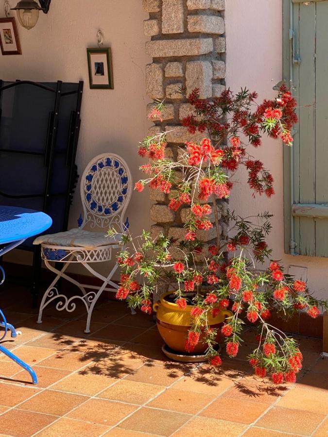 Villa Rosa בזייה מראה חיצוני תמונה